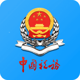 天津税务局官方版v9.9.0