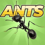 蚂蚁模拟器中文版无敌版 v2.2.5