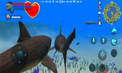 巨齿鲨模拟器无限金币版 v1.0.2