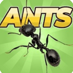 蚂蚁模拟器无限金币无限钻石版 v2.2.5